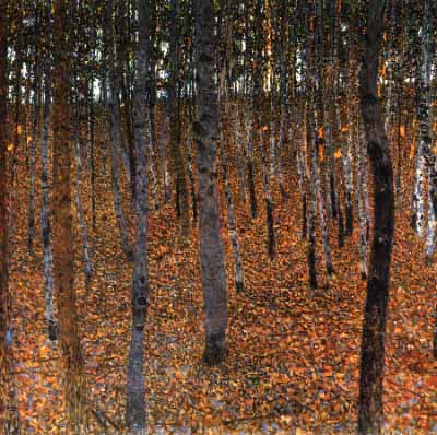 Березовый лес II, 1903, вена, австрийская галерея 