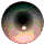 eye.gif (10790 bytes)