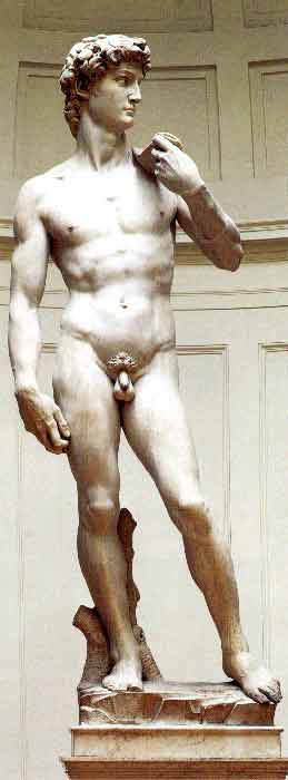 Микеланджело. Давид(1502-04) 