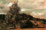 Пейзаж.Ветер, 1907<br>Масло на картоне. Русский музей<br>Landscape. Wind.<br>Oil on cardboard. The Russian Museum<br>20.5x30.5 cm